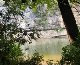 Buffalo from Picnic area