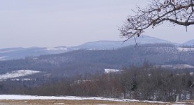 View near Western Grove 