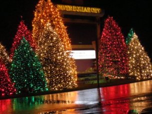 SDC Christmas Entrance Lights